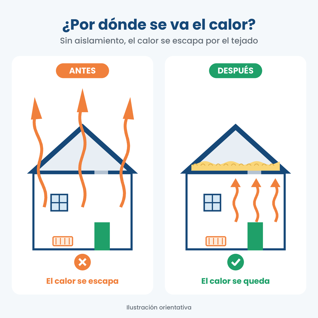 3-accueil-insuflado-trampilla